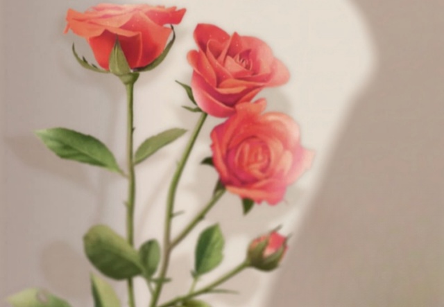 祝天下女神們節(jié)日快樂！??！